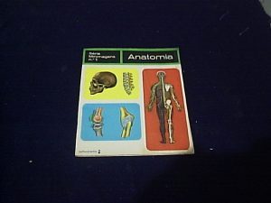 ANATOMIA-300x225