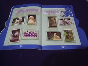 PETS-A-300x225