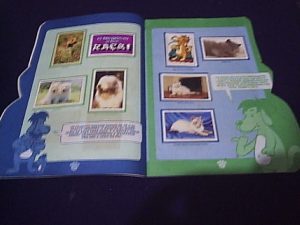 PETS-B-300x225