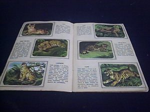 ANIMAIS-A