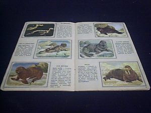 ANIMAIS-B