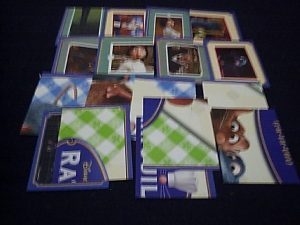 17-FIG.RATOU_-300x225-300x225
