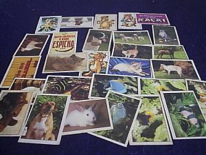 27-FIG.PETS_-300x225