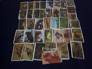 38-FIG.VIZITA-300x225-300x225