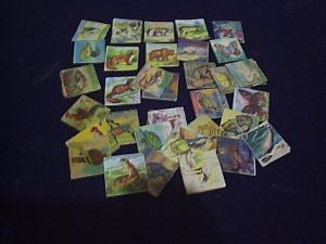 50-FIG.ANIMAIS-300x225-300x225-300x225